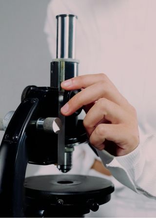 Atelier Micro-exploration, Vacances en famille, Sciences-culture